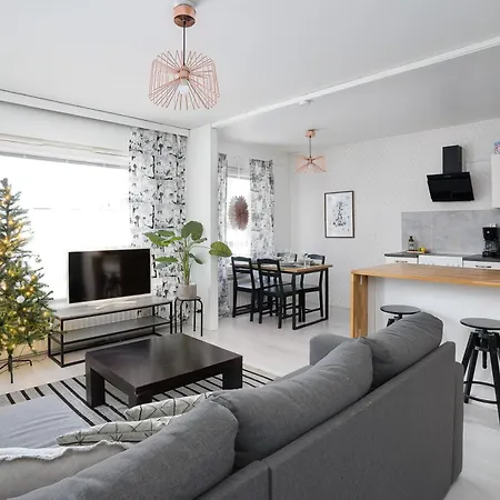 Homey In Lapland Διαμέρισμα Ροβανιέμι